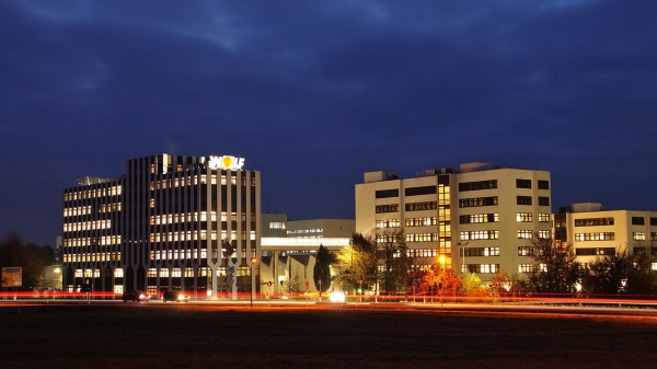 Wolf offices