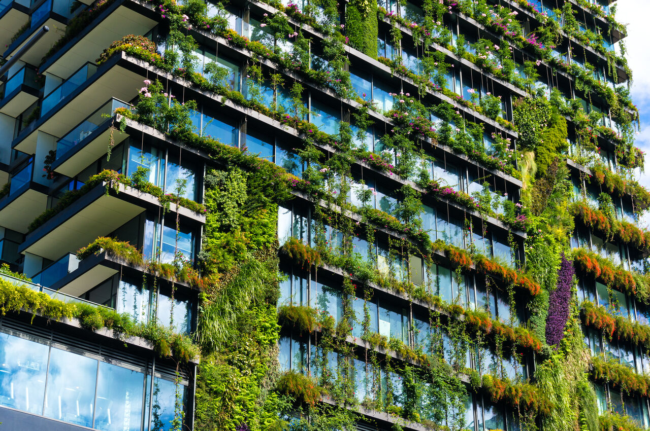 edificio green